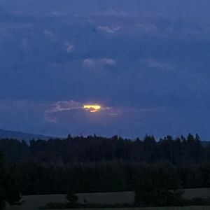 Meet your Posher, Avery